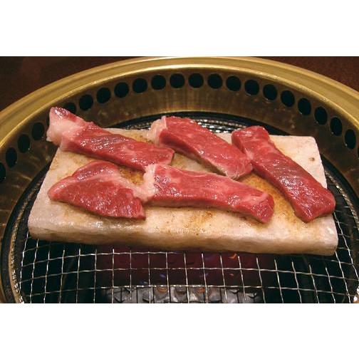岩塩プレート 15枚 調理用 岩塩板 焼肉 刺身 寿司 バーベキュー 