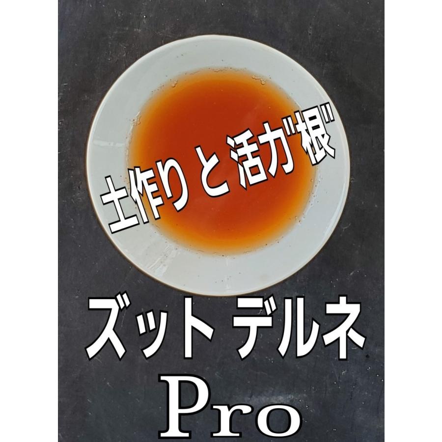 趣味の園芸や家庭菜園の土づくり　農業用微生物酵素資材で野菜作り　土着菌の活力を活性で根作りと株作り　土着菌活性ズットデルネPro１８００ｍｌ |  | 01
