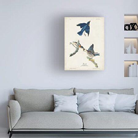 新製品在庫有り Trademark Fine Art 「青い鳥」キャンバスアート John James Audubon 18x24