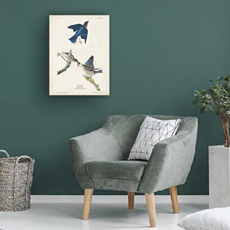新製品在庫有り Trademark Fine Art 「青い鳥」キャンバスアート John James Audubon 18x24