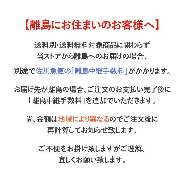 パンプス 本革 黒 ストラップ BARCLAY バークレー 2037 2E 定番 スクエアトゥ 靴 レディース ローヒール ブラック 履きやすい 軽量 日本製 送料無料_11