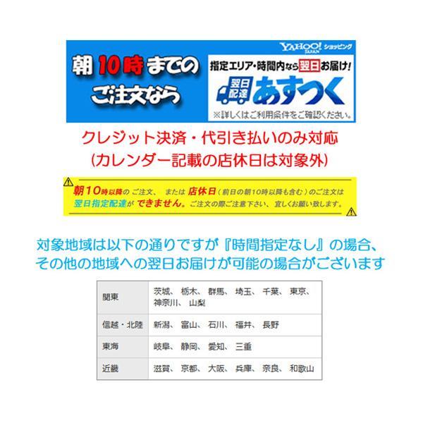FIZZ REEN パンプス ローヒール レディース 靴 本革 幅広 3E 設計 日本製 フィズリーン 300 黒 ブロンズ 人気 履きやすい 金具飾り 送料無料_13