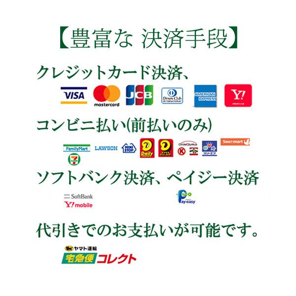 FIZZ REEN パンプス ローヒール レディース 靴 本革 幅広 3E 設計 日本製 フィズリーン 300 黒 ブロンズ 人気 履きやすい 金具飾り 送料無料_15