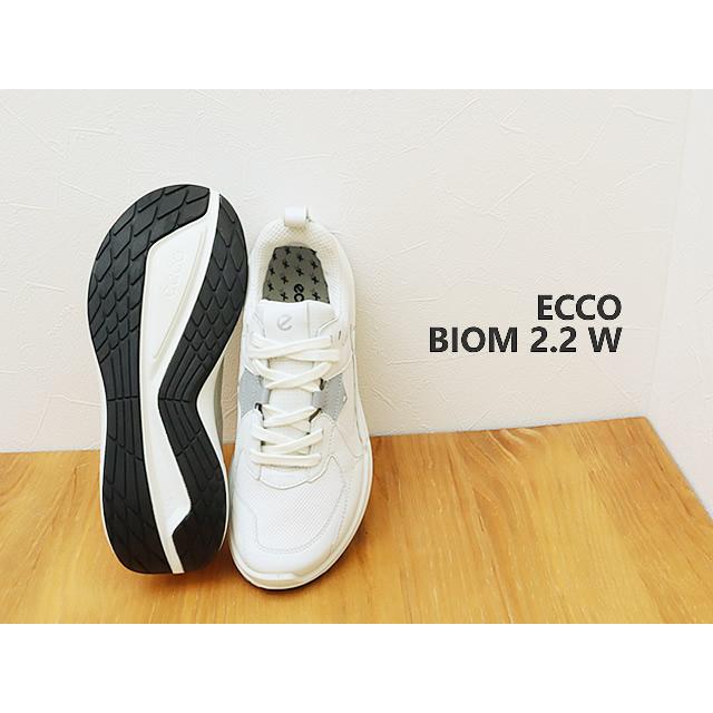 ecco ECCO エコー WOMEN'S BIOM 2.2 W GORE-TEX バイオム ecco ECCO エコー WOMEN'S BIOM 2.2 W GORE-TEX バイオム