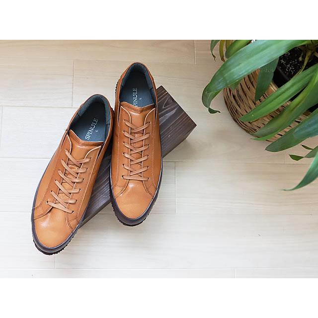 SPINGLE（スピングル） SP-6143（旧BIZ-143） LIGHT BROWN ライト