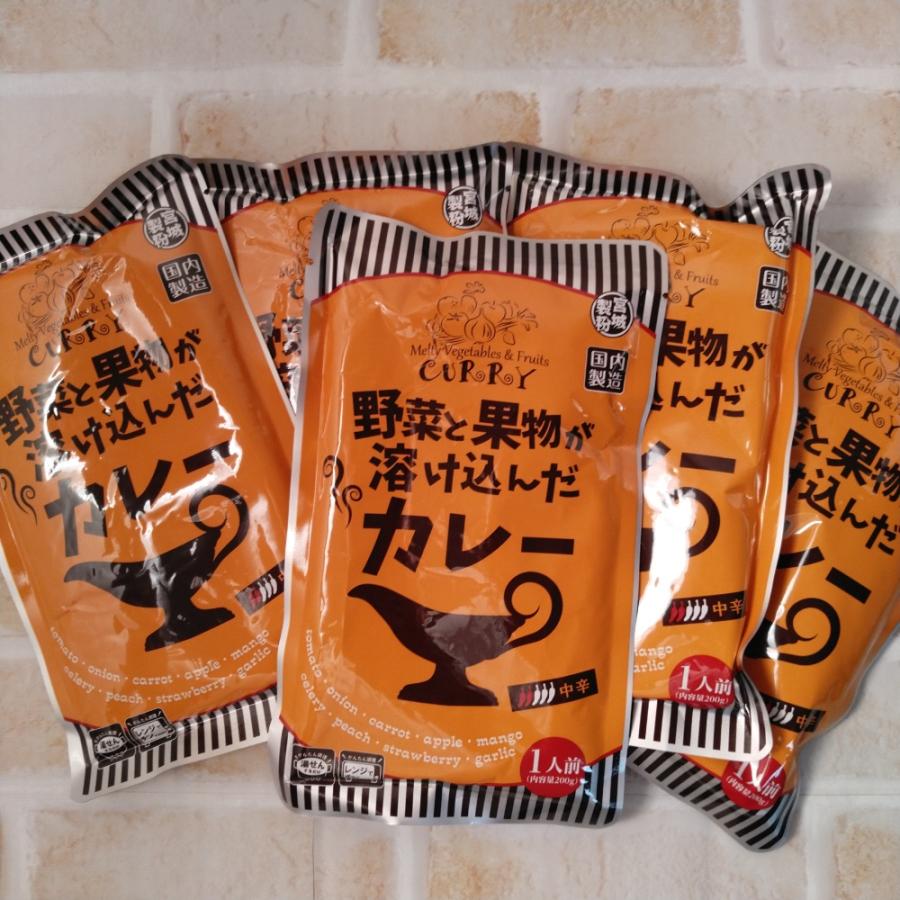 野菜と果物が溶け込んだカレー 中辛 180g×5袋 メール便送料無料