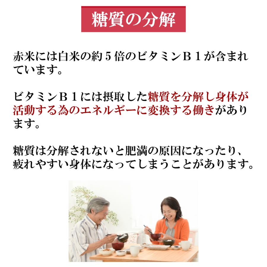 令和5年産 赤米 100g 1袋 ポイント消化 雑穀米 お試し 食品 健康 美容 1kg以下 メール便 ダイエット 国産 古代米 送料無料｜9461534｜08