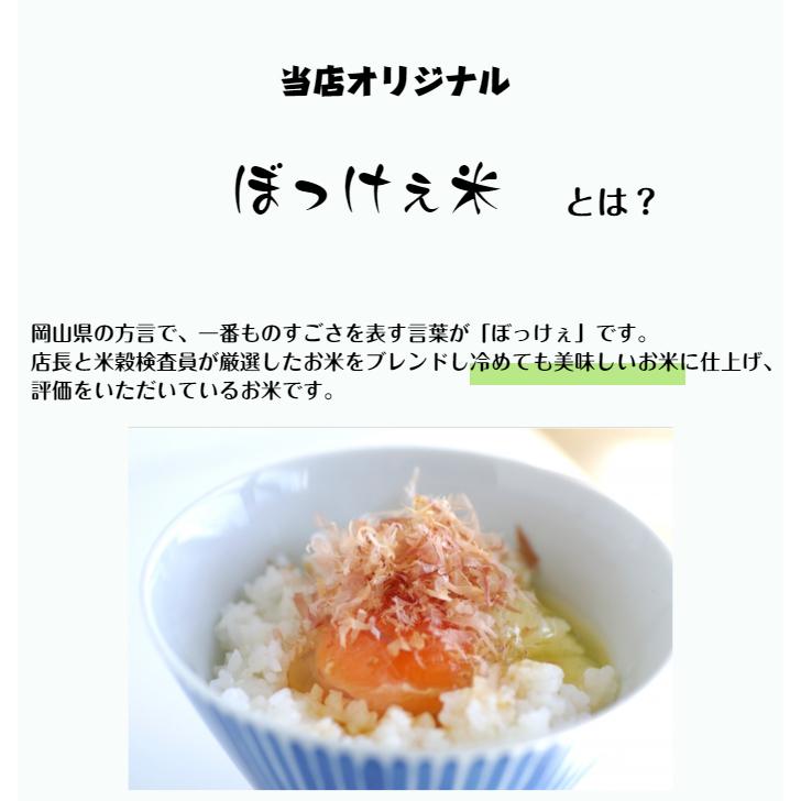 令和5年産入り ぼっけぇ米 300g (2合) 1袋 ポイント消化 白米 食品 お試し 1kg以下 メール便 オリジナルブレンド米 国産 送料無料 　｜9461534｜03