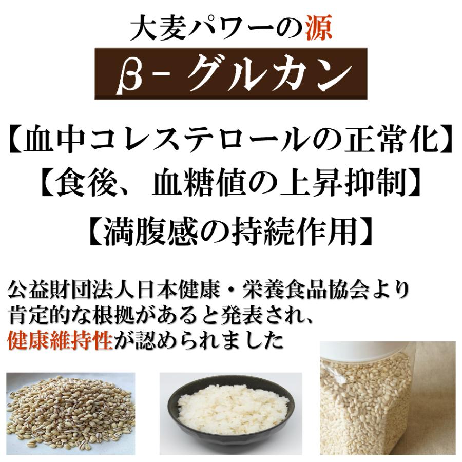 令和5年産 岡山県産 ダイシモチ 950g×10袋 チャック付き 雑穀米 食品 美容 ダイエット 国産 送料無料 ※北海道・沖縄の方は別途送料加算｜9461534｜05