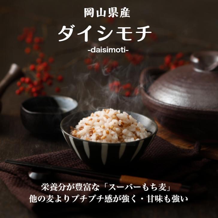 新麦 令和8年産 岡山県産 ダイシモチ 10kg（5kg×2袋） 紫もち麦 国産