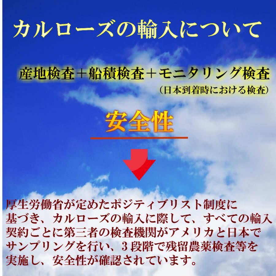 在庫処分 数量限定】 2024年産 アメリカ・カリフォルニア産 カルローズ