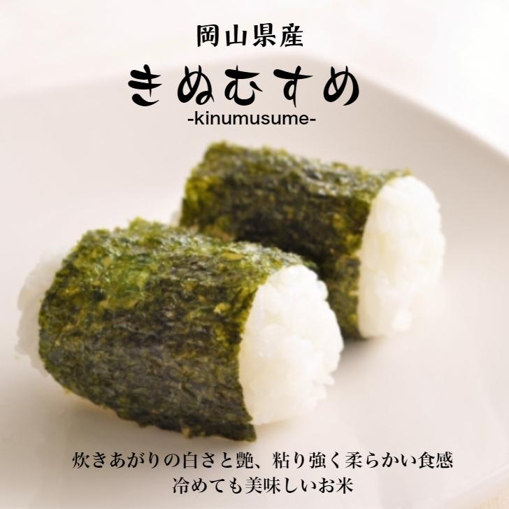 令和5年産 岡山県産 きぬむすめ 900g 【300g(2合)×3袋】ポイント消化 白米 食品 お試しセット 1kg以下 メール便 国産 送料無料｜9461534｜02