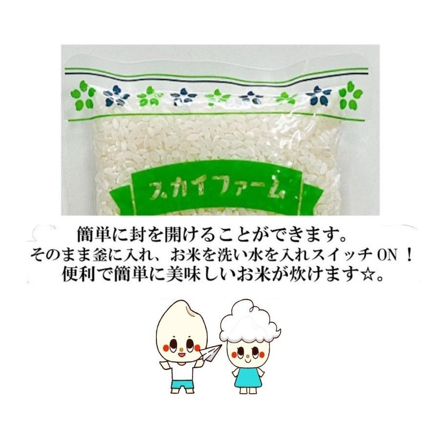 令和5年産 岡山県産 きぬむすめ 900g 【300g(2合)×3袋】ポイント消化 白米 食品 お試しセット 1kg以下 メール便 国産 送料無料｜9461534｜06