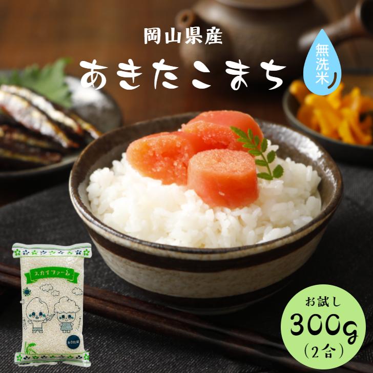 あきたこまち 令和6年産 岡山県産 無洗米 300g (2合) 1袋 あきたこまち 令和6年産 岡山県産 無洗米 300g (2合) 1袋