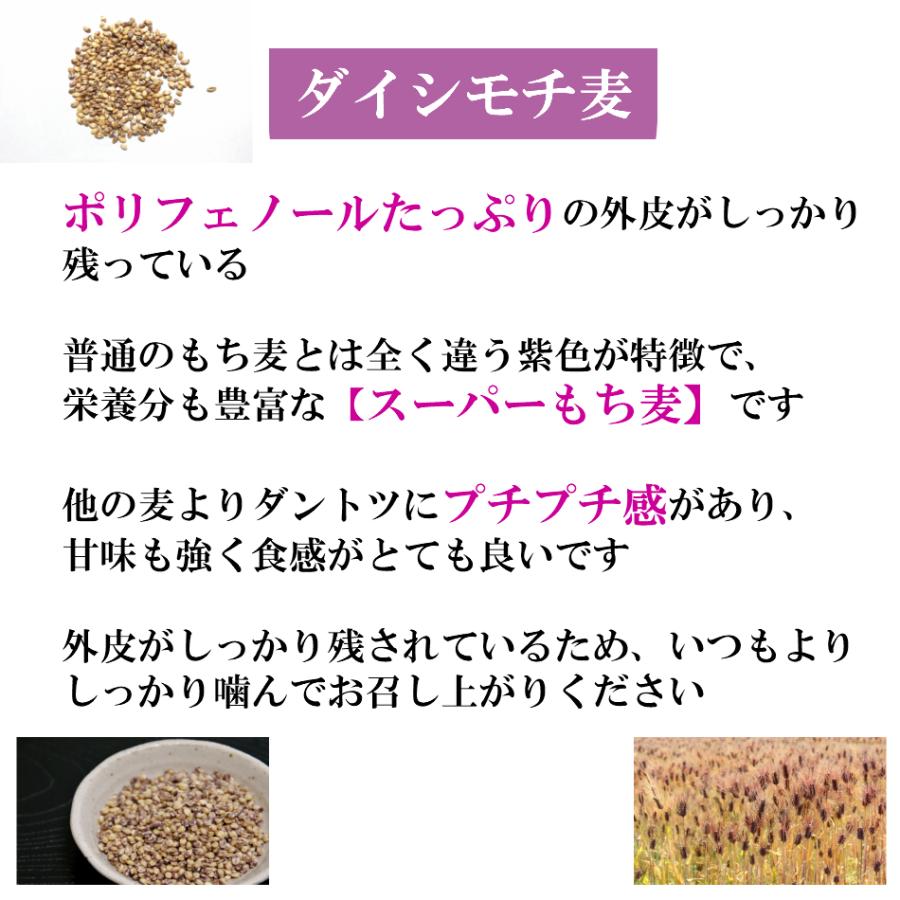 国内産 大麦セット (もっちもち大麦・ダイシモチ)  各450g×1袋 ポイント消化 雑穀米 食品 お試し 健康 美容 1kg以下 メール便 国産 送料無料｜9461534｜03