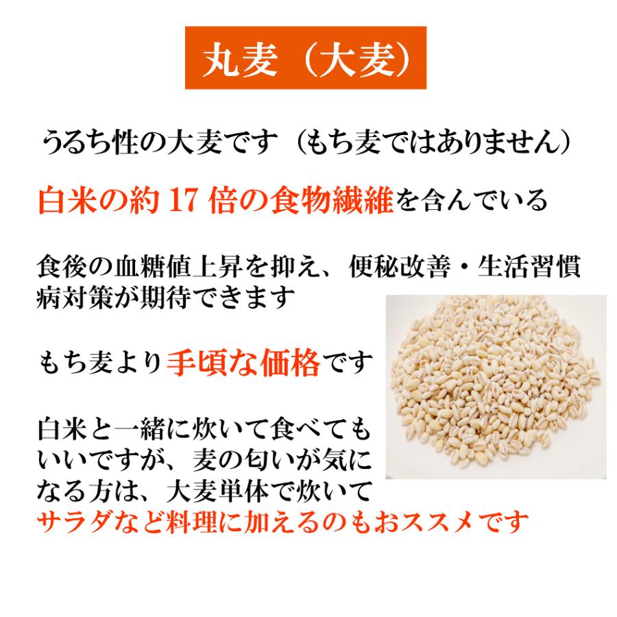 令和5年産 佐賀県産丸麦 (大麦) 10kg 【5kg×2袋】 α化処理 雑穀米 食品 健康 美容 国産 送料無料 ※北海道・沖縄の方は別途送料加算｜9461534｜03