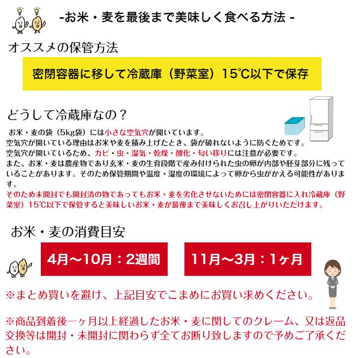 令和5年産 佐賀県産丸麦 (大麦) 10kg 【5kg×2袋】 α化処理 雑穀米 食品 健康 美容 国産 送料無料 ※北海道・沖縄の方は別途送料加算｜9461534｜09