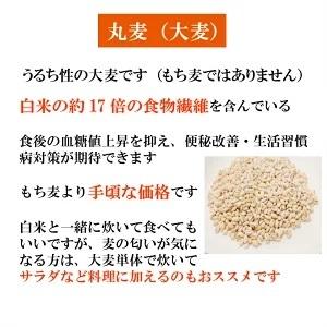 令和5年産 佐賀県産丸麦 (大麦) 950g 1袋 チャック付き α化処理 ワンコイン ポイント消化 雑穀米 1kg以下 メール便 国産 送料無料 500円ぽっきり｜9461534｜03