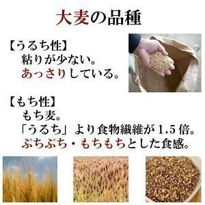 令和5年産 佐賀県産丸麦 (大麦) 950g 1袋 チャック付き α化処理 ワンコイン ポイント消化 雑穀米 1kg以下 メール便 国産 送料無料 500円ぽっきり｜9461534｜04