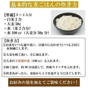 令和5年産 佐賀県産丸麦 (大麦) 950g 1袋 チャック付き α化処理 ワンコイン ポイント消化 雑穀米 1kg以下 メール便 国産 送料無料 500円ぽっきり｜9461534｜08