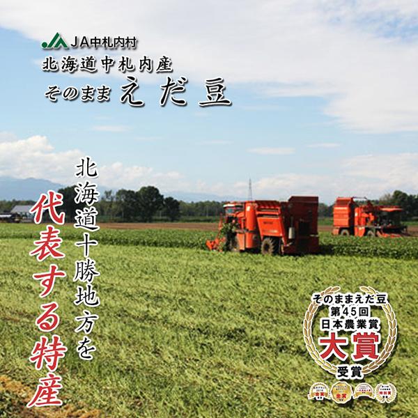 北海道産中札内産 そのまま枝豆 300g×5 送料無料 JAなかさつない 中札内村農業協同組合 枝豆 えだまめ エダマメ えだ豆 冷凍食品 おつまみ ビール 国産 袋 冷凍｜946kitchen｜02