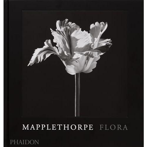 2026年最新】Yahoo!オークション - mapplethorpe(写真集)の中古品
