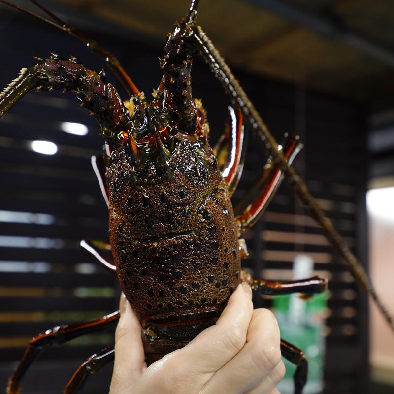 ばんや贅沢三昧セット 伊勢海老1kg ハマグリ1kg サザエ1kgセット 千葉県銚子産 蛤 伊勢エビ イセエビ バーベキュー用 q 海鮮 詰め合わせ 高級ギフト Bny Ihs1kgset 漁師料理の店ばんや千葉県九十九里 通販 Yahoo ショッピング