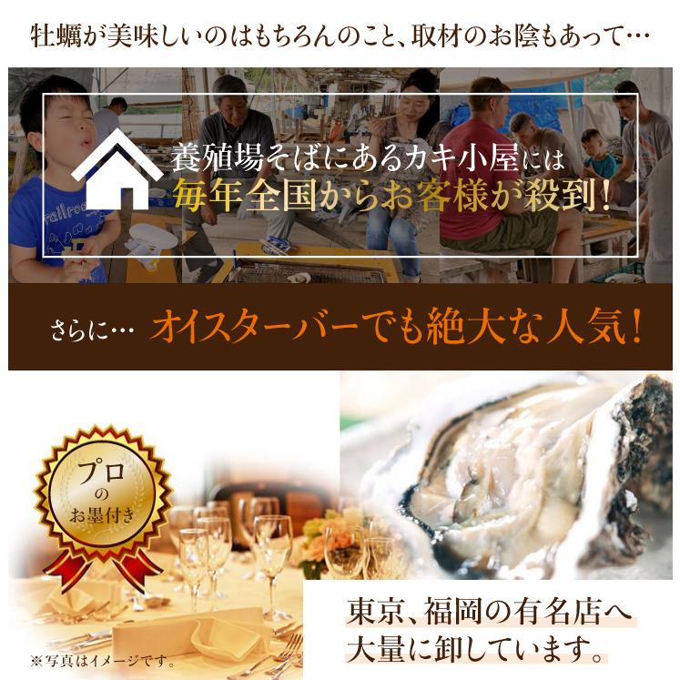 九十九島産 殻付き岩牡蠣 お手軽2kg 12個前後 送料無料 夏の風物詩 開け方ガイド付き 生食用 お中元 ギフト q 生牡蠣 マルモ水産 Ik 02 九十九島からのおくりもの 通販 Yahoo ショッピング
