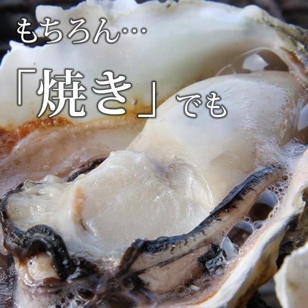 《九十九島産》殻付き岩牡蠣 生食用 3kg 1個130〜180g【送料無料】開け方ガイド・ナイフ付き［ お中元 ギフト BBQ 生牡蠣 マルモ水産 ］｜99kaki｜05