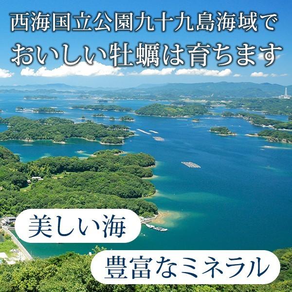 《九十九島産》殻付き岩牡蠣 生食用 3kg 1個130〜180g【送料無料】開け方ガイド・ナイフ付き［ お中元 ギフト BBQ 生牡蠣 マルモ水産 ］｜99kaki｜06