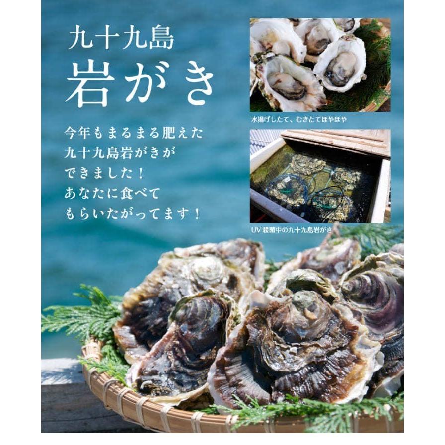 《九十九島産》大粒 200〜250g 殻付き岩牡蠣 生食用 2kg【送料無料】開け方ガイド・ナイフ付き［ お中元 ギフト BBQ 生牡蠣 マルモ水産 ］｜99kaki｜02