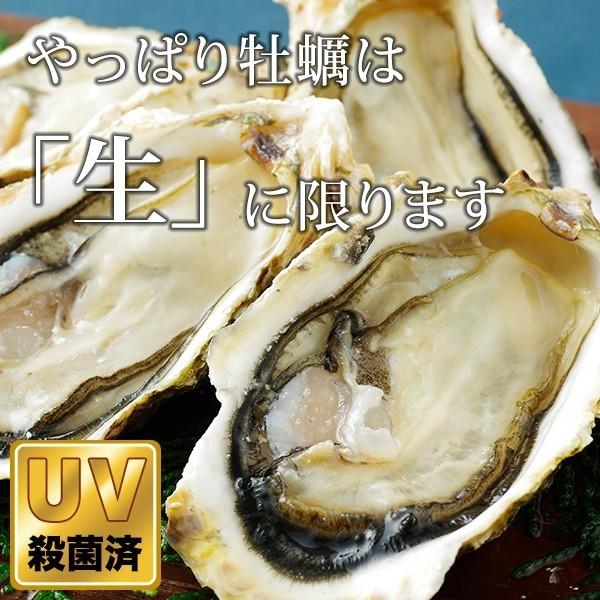 《九十九島産》大粒 200〜250g 殻付き岩牡蠣 生食用 2kg【送料無料】開け方ガイド・ナイフ付き［ お中元 ギフト BBQ 生牡蠣 マルモ水産 ］｜99kaki｜04