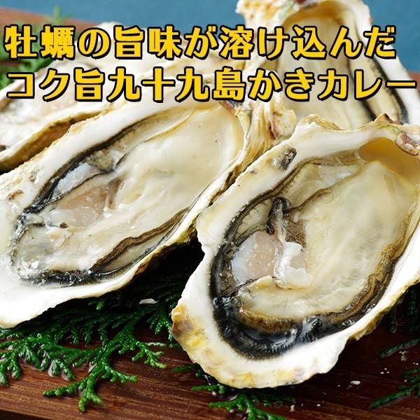 長崎・佐世保名産 九十九島かきカレー 200g 4食セット【マルモ水産】 [ 牡蠣 かき カキ グルメ ]｜99kaki｜02