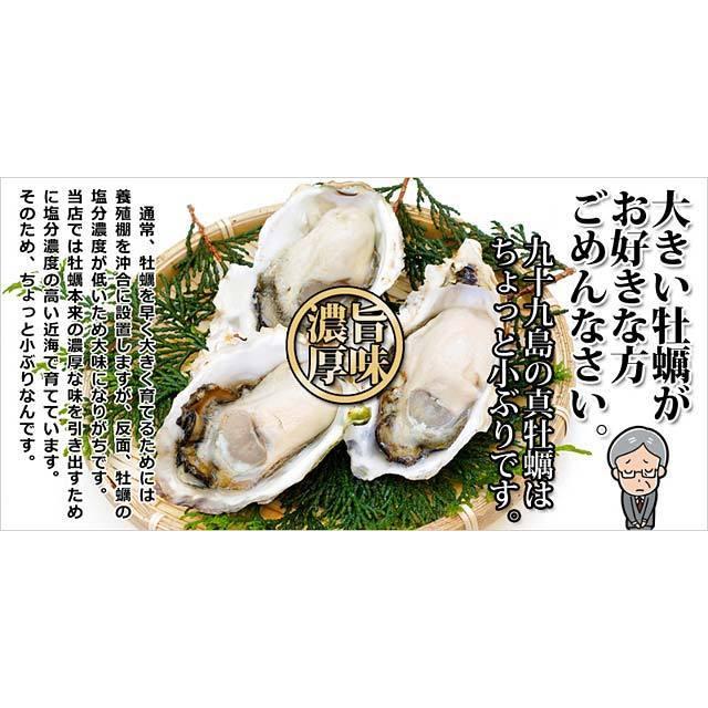 九十九島かき 春一番 殻付き牡蠣3kg 48個前後 生食ok 家族4人でも大満足 送料無料 Mk 03 九十九島からのおくりもの 通販 Yahoo ショッピング