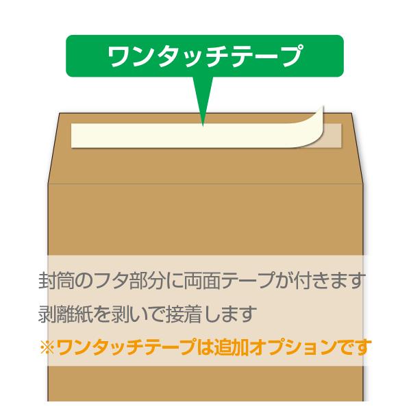 メルカリ便　2個set 未開封 アルカディアスの書 t010000087114.jpg