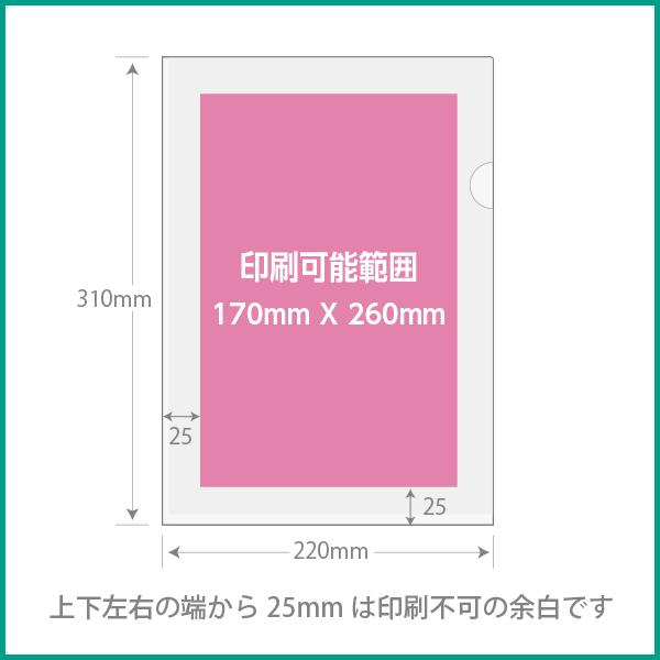 紙製クリアファイル印刷 50枚〜 トレーシングペーパー 全面半透明 フルカラー印刷　デザイン制作無料 |  | 03