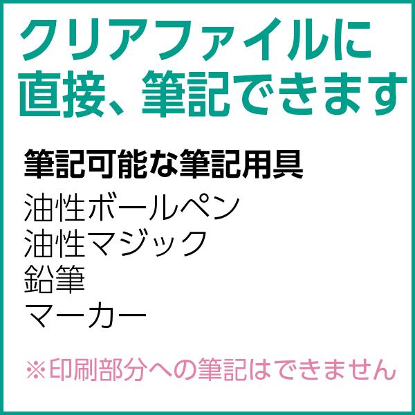 紙製クリアファイル印刷 50枚〜 トレーシングペーパー 全面半透明 フルカラー印刷　デザイン制作無料 |  | 05