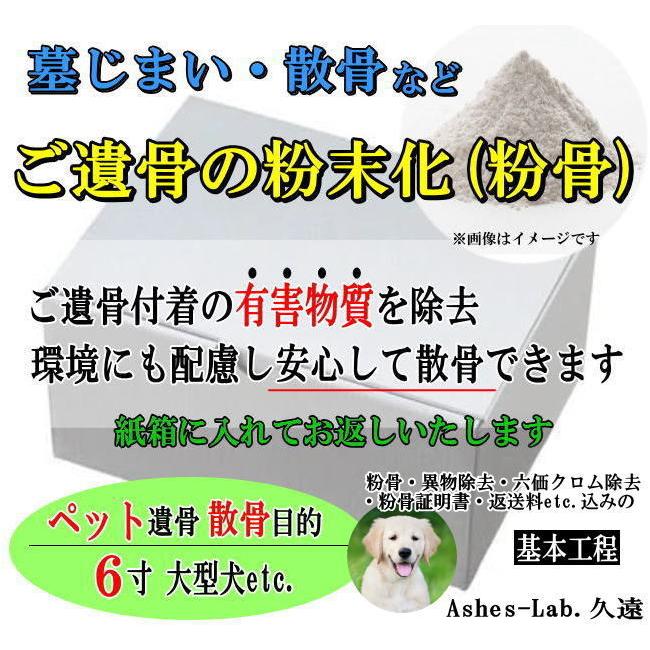 大人気 MJB04PXOITN [MJB04PXOITN]