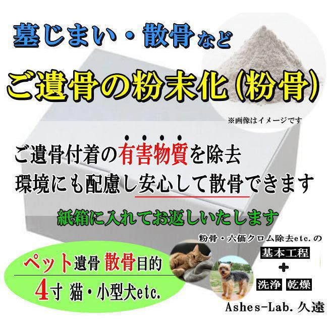 大人気 本日発送 MX8OFAWR61O [MX8OFAWR61O]