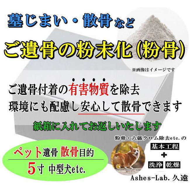 圧倒的人気 MRC6BGAXATQ [MRC6BGAXATQ]