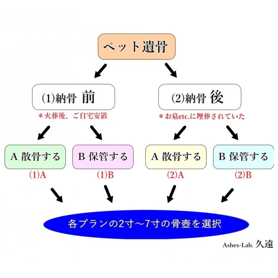 骨壺5寸 粉骨【ペット遺骨／(2)納骨後／A散骨目的】ご遺骨パウダー加工 パウダー化 ご遺灰 墓じまい 手元供養 分骨 お墓引っ越し 人骨 無害化 無害処理｜9on｜02