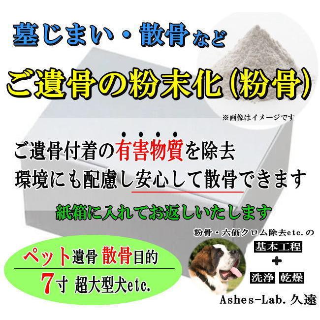 売れ筋 最短翌日お届け MJLIXEV8TNA [MJLIXEV8TNA]
