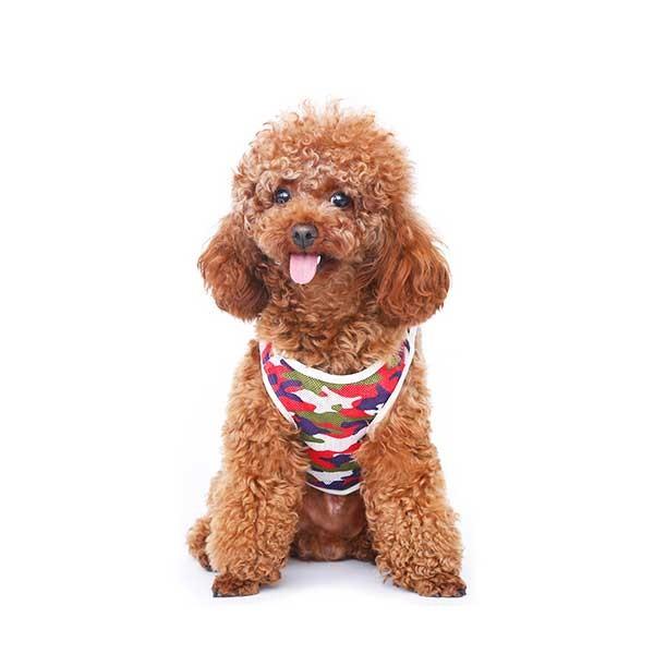 犬服 迷彩 メッシュタンクトップ トイプードル 犬 猫 春服 抜け毛防止 送料無料 ドッグウェア Pt007 Macaroni Yahoo 店 通販 Yahoo ショッピング