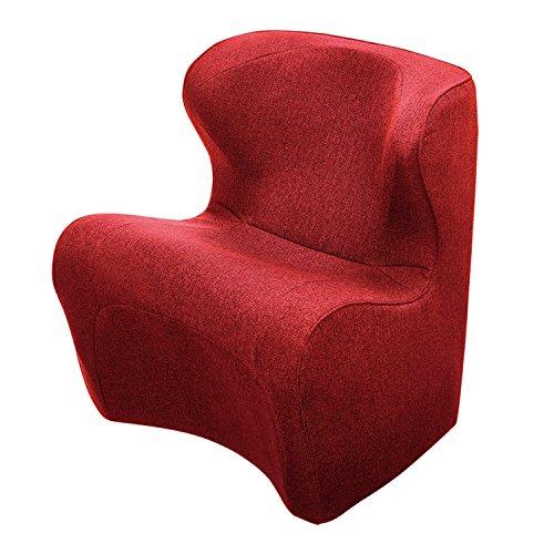 スタイル ドクターチェアプラス (Style Dr.CHAIR Plus) MTG (エムティージー) [メーカー純正品] 姿勢矯正 腰痛 骨盤サポートチェア 座椅子