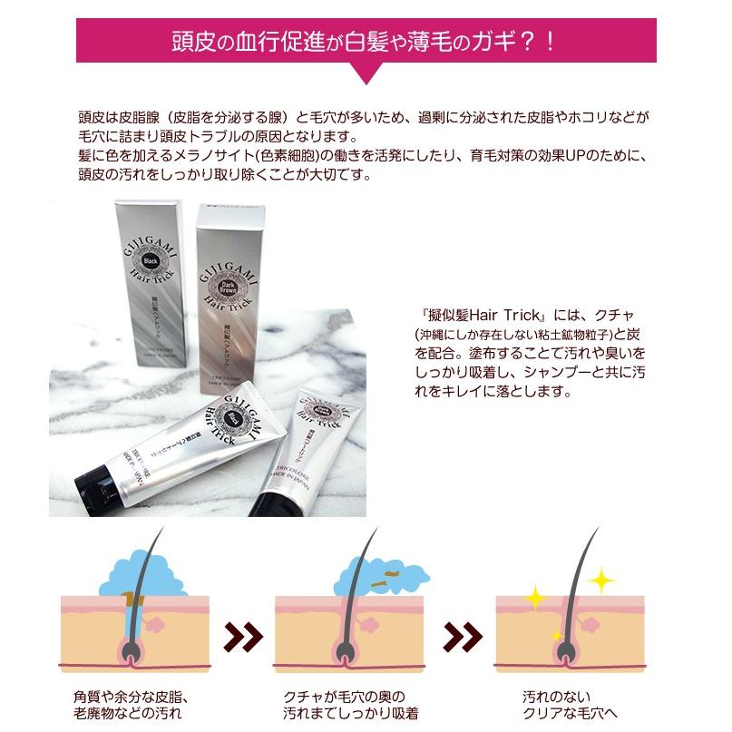 擬似髪hair Trick ヘアートリック 頭髪用化粧品 各100g 全2色 ブラック ダークブラウン ハゲ隠し 薄毛 はげ隠し 薄毛隠し 薄毛カバー 白髪隠し 薄毛対策 Gijigamiht アクアベース 通販 Yahoo ショッピング