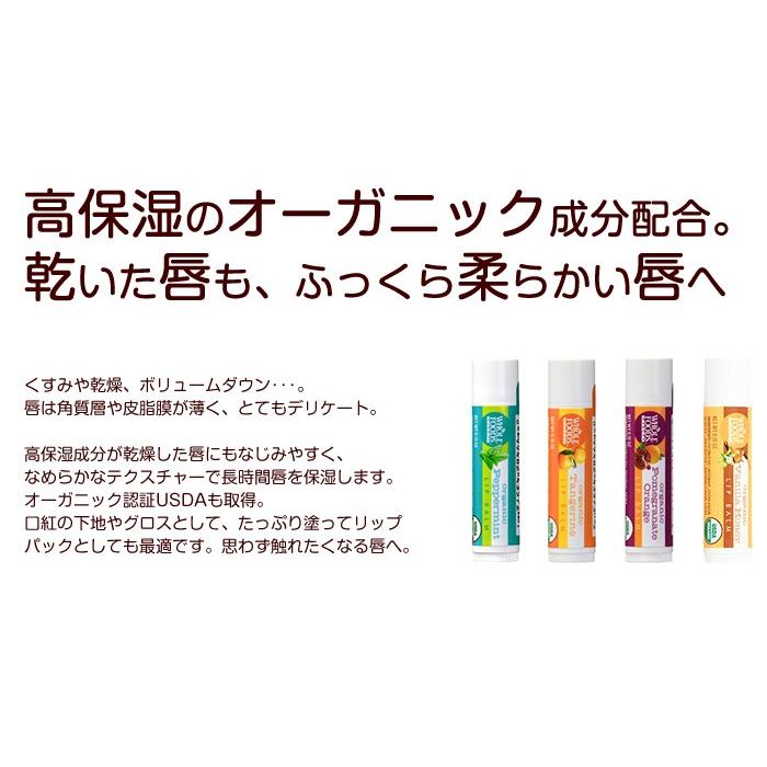 メール便可 Whole Foods Market ホールフーズマーケット リップバーム 4 25g 4フレーバー Wfmlip アクアベース 通販 Yahoo ショッピング