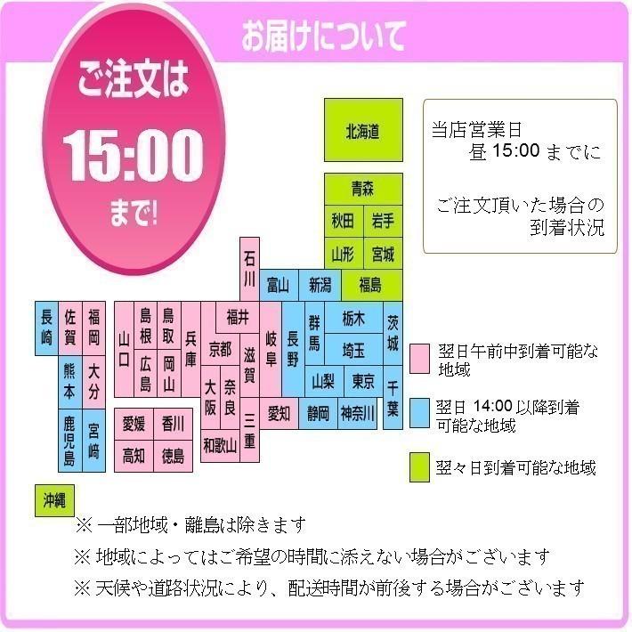 夏 礼服レンタル 喪服レンタル ブラックフォーマル レディース 葬儀 葬式 お通夜 法事 婦人 妊婦 喪服 妊婦 礼服022 9号11号13号15号17号 F 022 9 17 レンタルのアーベル ヤフー店 通販 Yahoo ショッピング