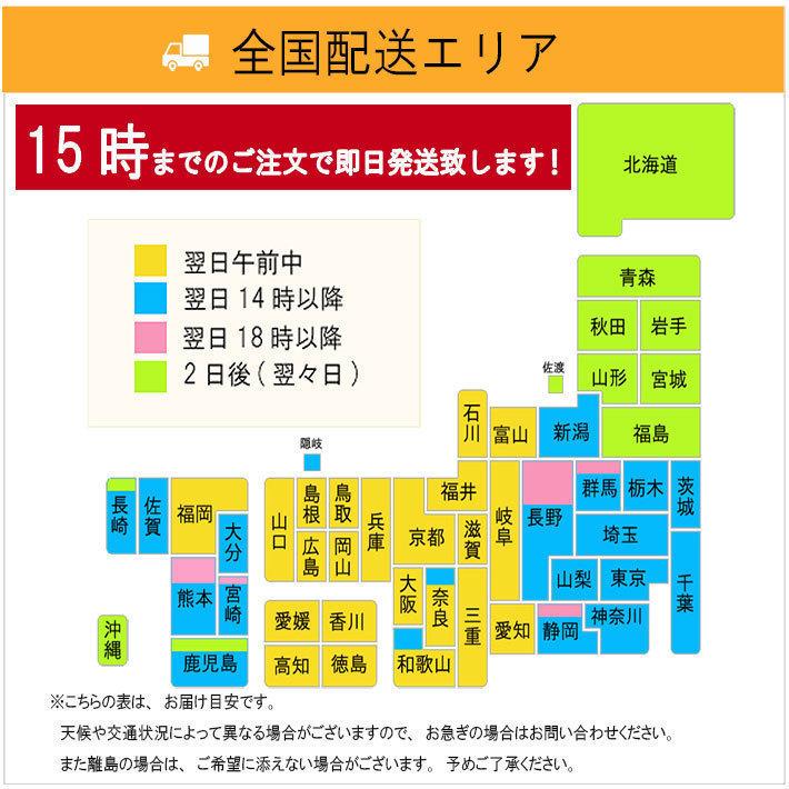 マタニティ礼服 喪服レンタル ブラックフォーマル レディース 葬儀 葬式 お通夜 法事 婦人 妊婦 喪服 妊婦 礼服368 9号11号13号15号 Jbam368 レンタルのアーベル ヤフー店 通販 Yahoo ショッピング