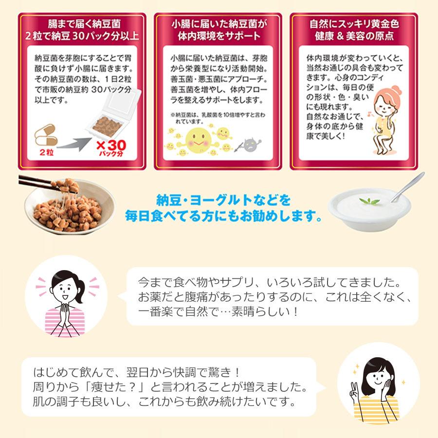 納豆菌 サプリ なっとう健美 60粒 納豆 ナットウキナーゼ サプリメント