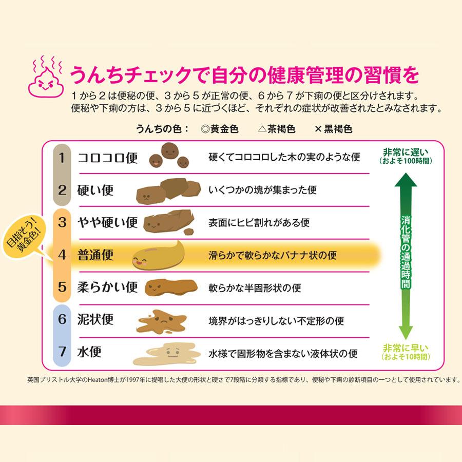 納豆菌 サプリ なっとう健美 60粒 納豆 ナットウキナーゼ サプリメント